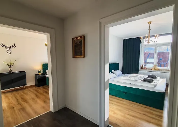 Premium Gruppen-apartments In Gruenderzeit-villa Mit Schlossblick Und Parkplatz 16 Gaeste *